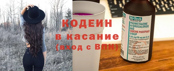 индика Бронницы